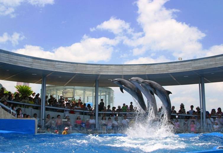 Oita Marine Palace Aquarium Umitamago